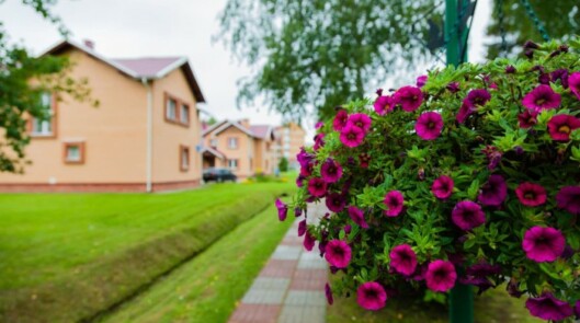 Санаторий Виктория