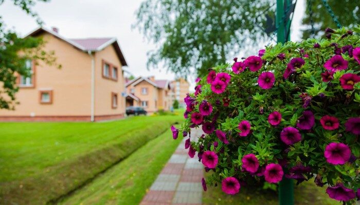 Санаторий Виктория